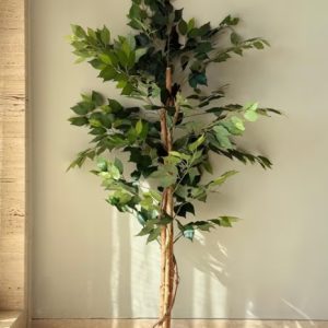 Artificial Grove Ficus Plant - 5 Feet (Without pot)