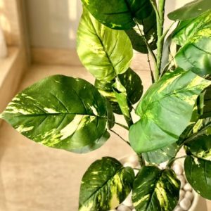 Alternative view of Artificial Variegated Pothos Plant